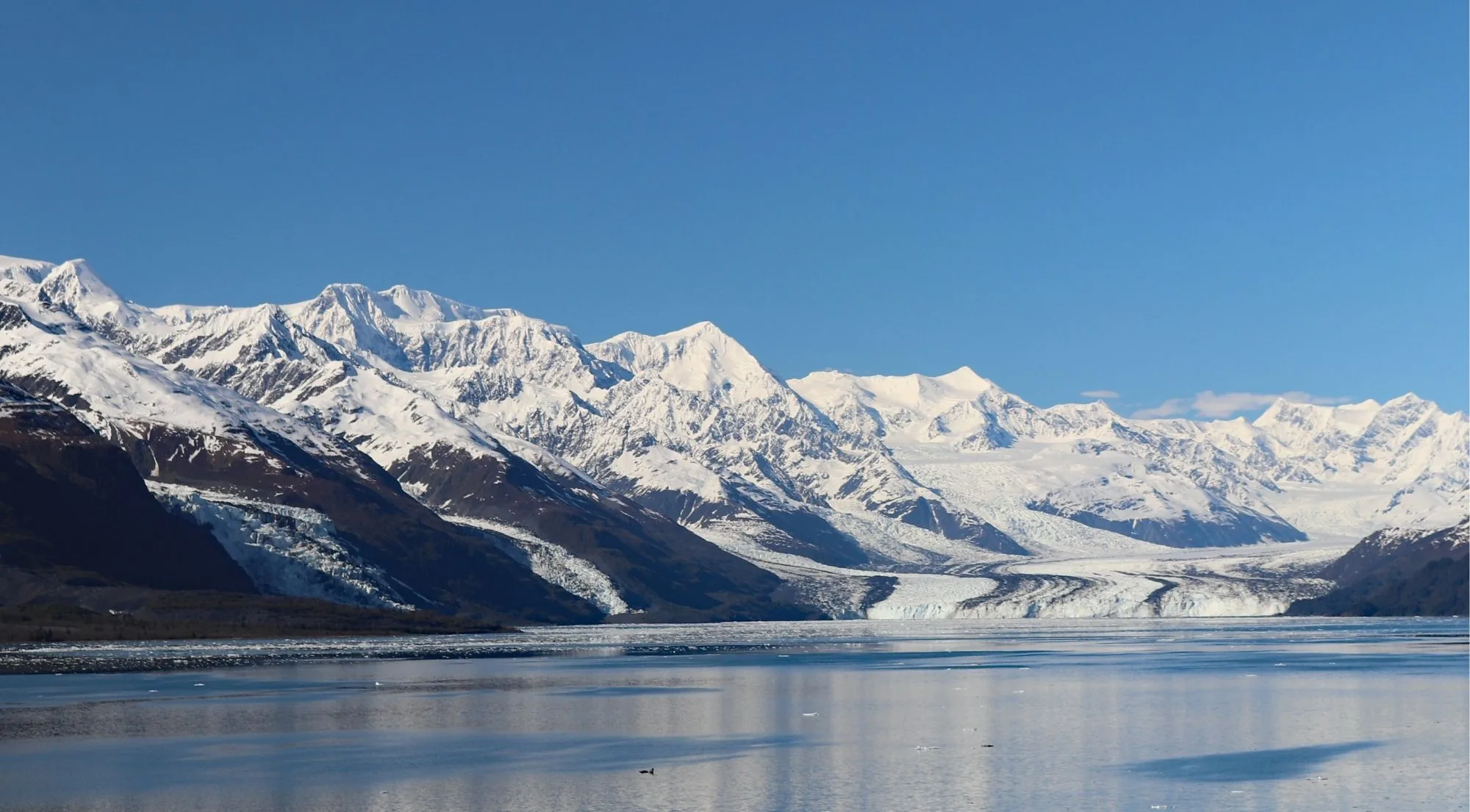 A wide panorama of the snow-covered Chugach Mountains with broad glaciers flowing down to the sea in College Fjord