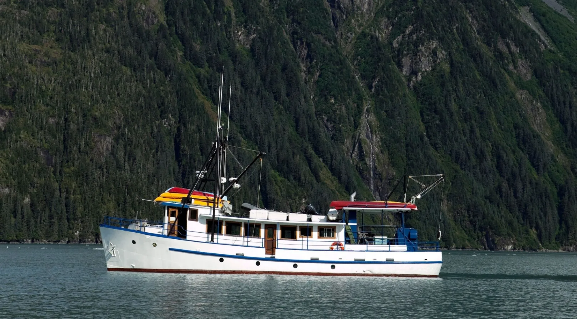 A classic white and blue charter vessel anchored close under a steep forested cliff face streaked with waterfalls