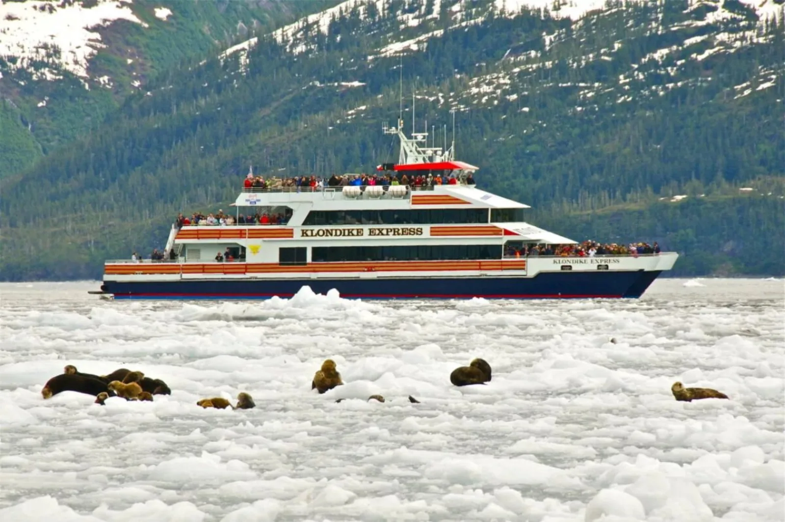 Prince William Sound 26 Glacier Cruise from Whittier