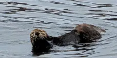 Guest photo from review